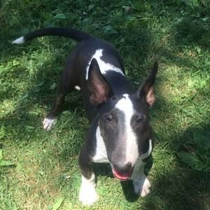 Meet your Posher, Damon